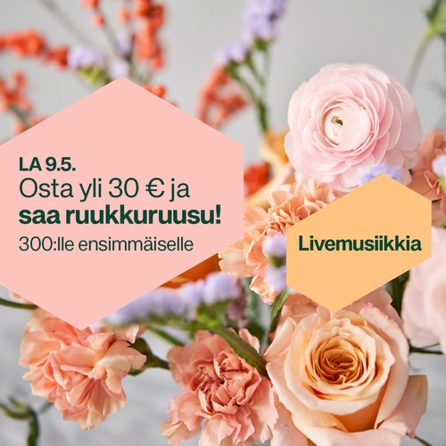 Ilmainen ruukkuruusu yli 30 € ostoksista lauantaina 9.5.