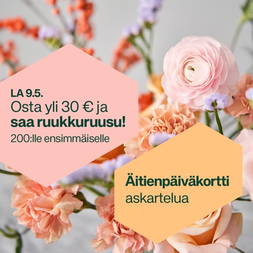 Ilmainen ruukkuruusu yli 30 € ostoksista lauantaina 9.5.
