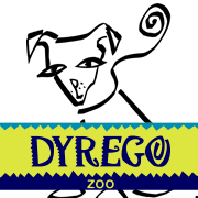 Dyrego