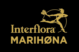 Interflora Marihøna